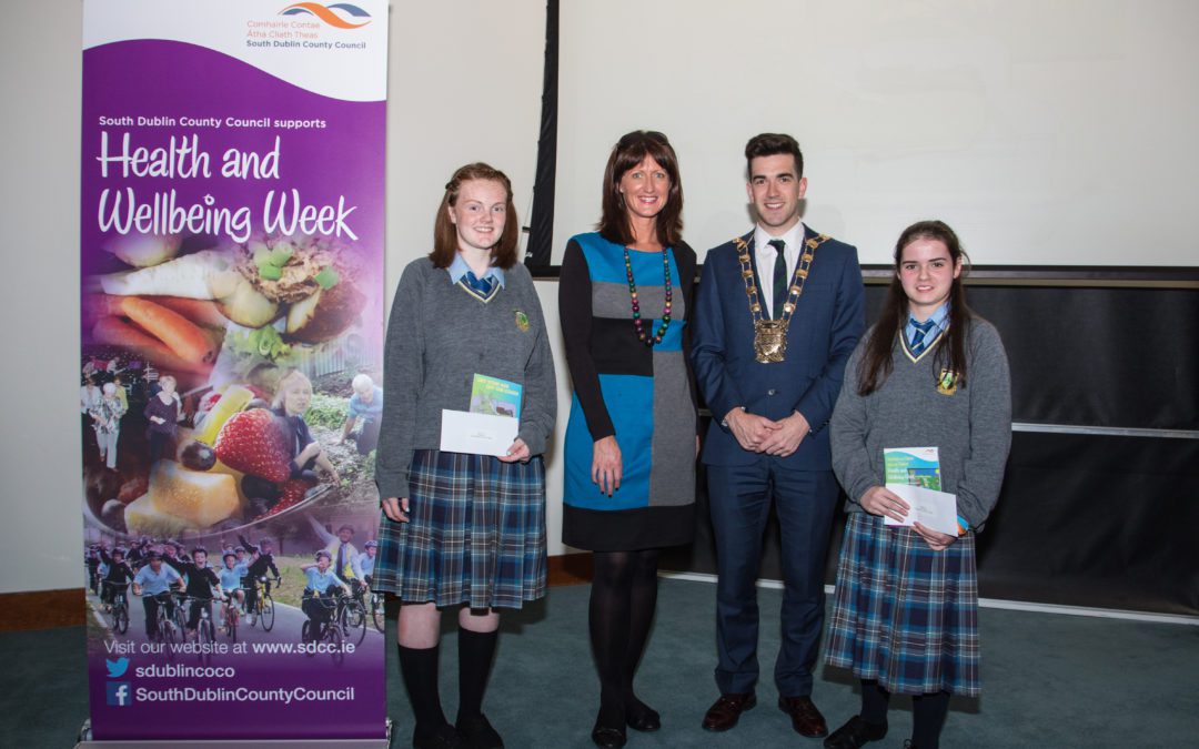 South Dublin County Council Competition