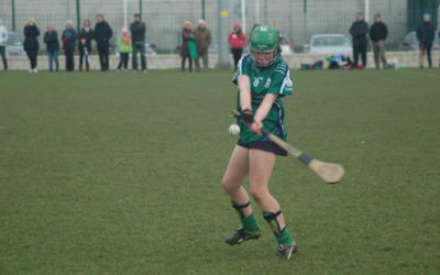 Camogie Update