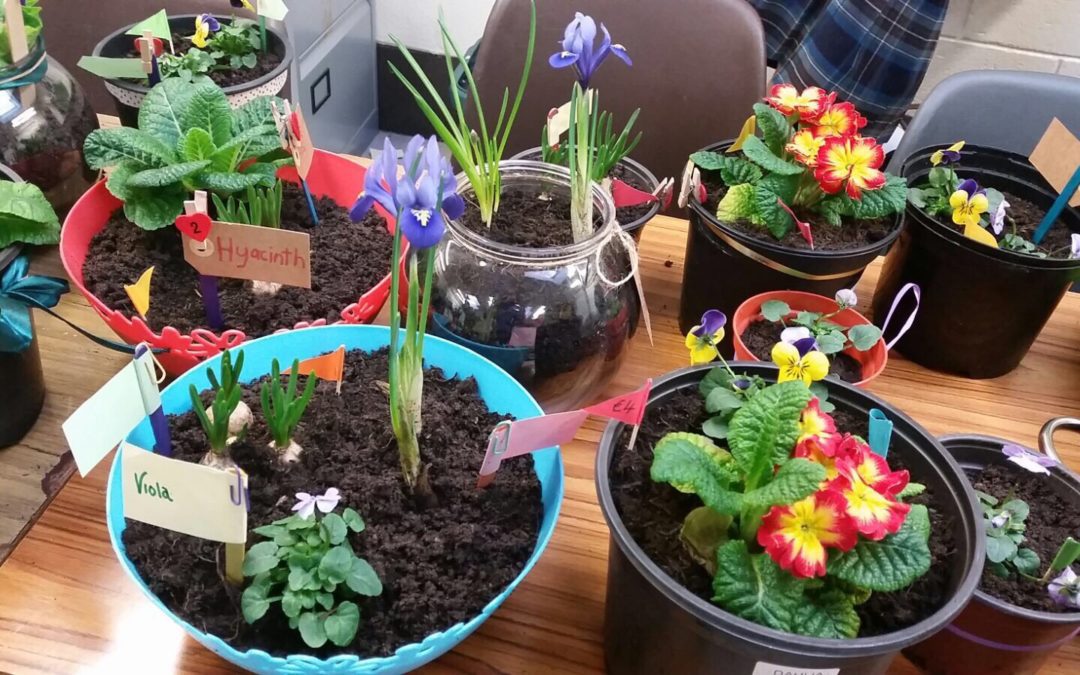 TY Agricultural Science Class