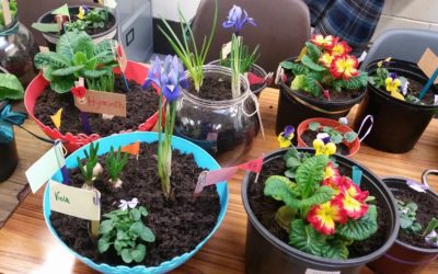 TY Agricultural Science Class