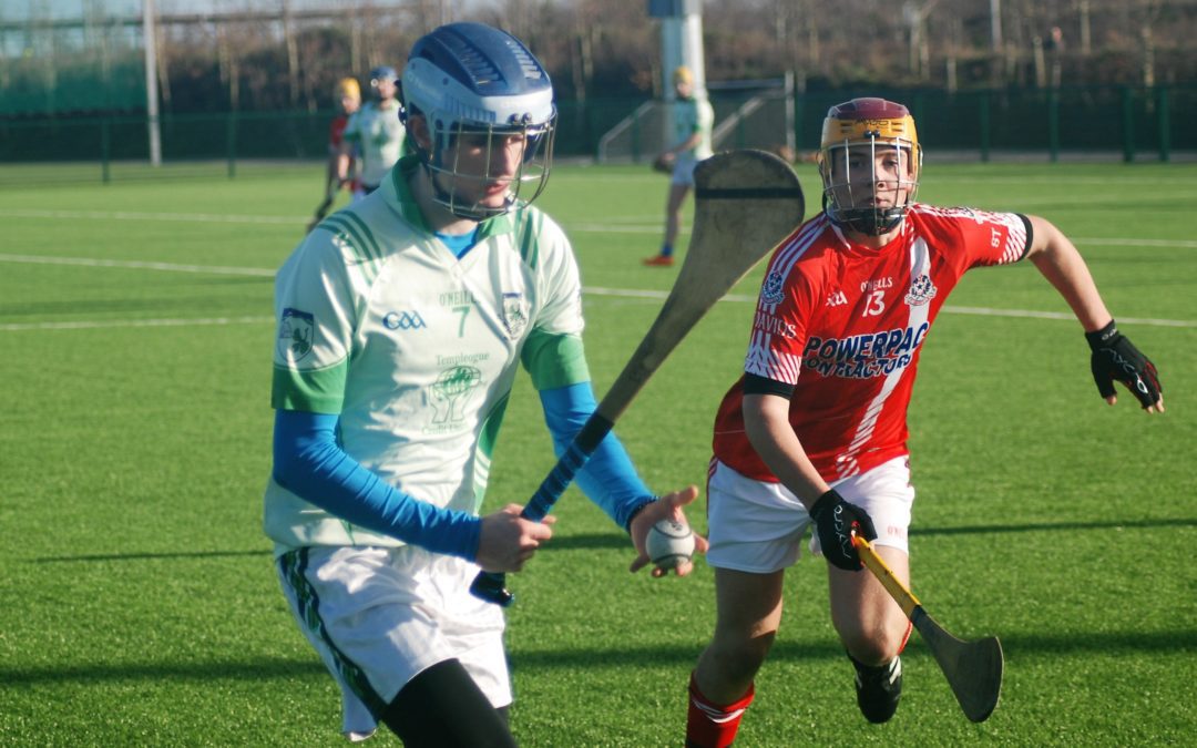 2018 Under 18 Hurling County Champions