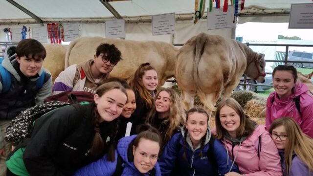 TY Ploughing 1