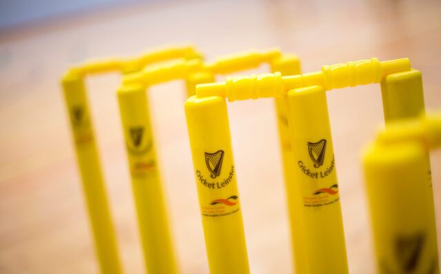 School Cricket Set