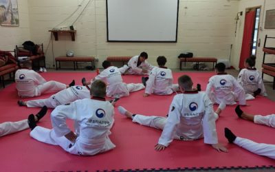 Taekwondo