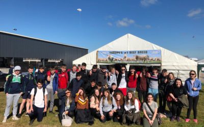 The National Ploughing Championships